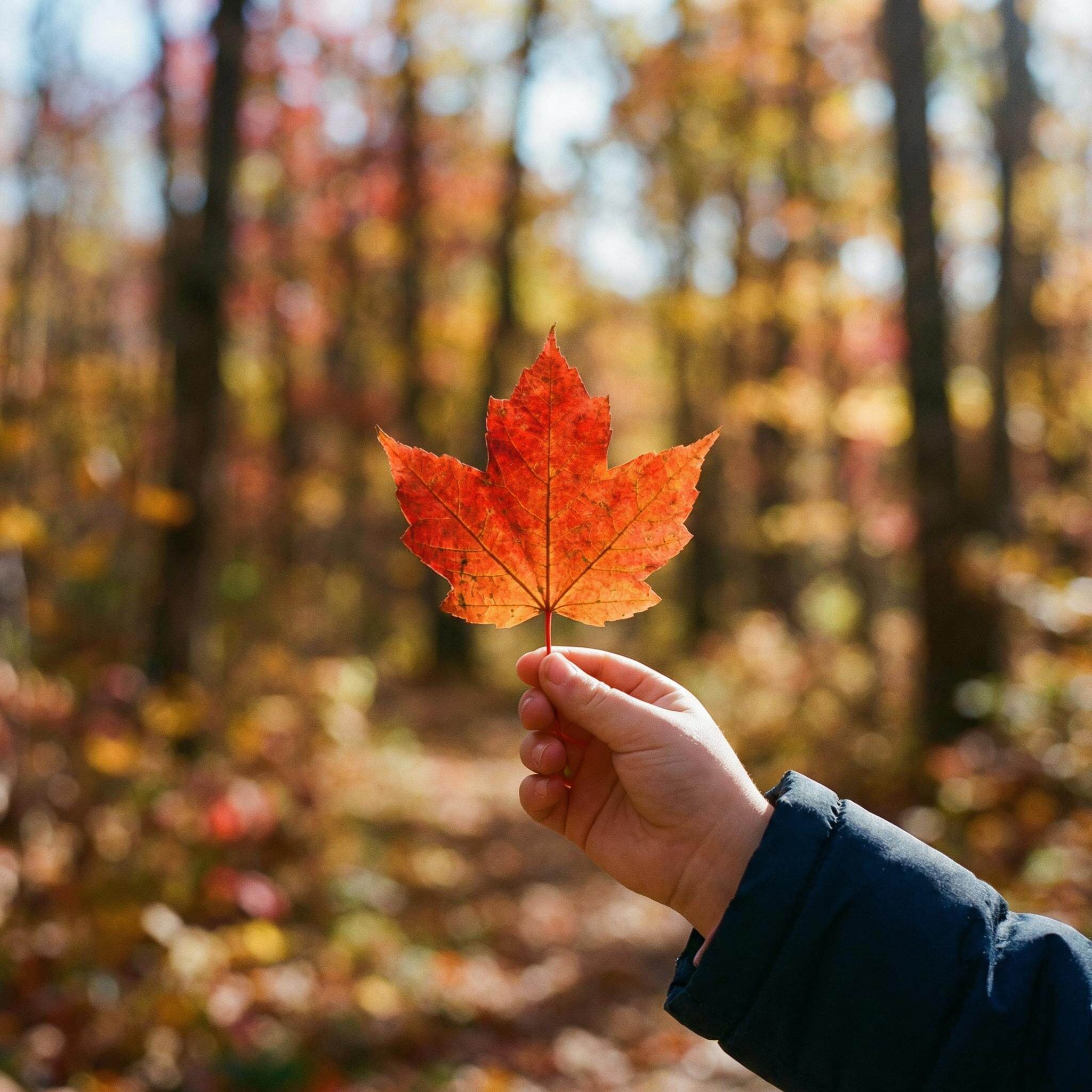 freepik__a-stock-photo-of-a-childs-hand-holding-up-a-crisp-__80358